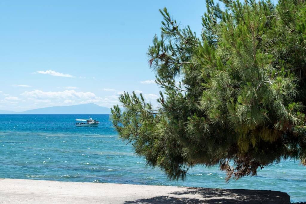 Endless Sea View House Βίλα Νέα Ηράκλεια Εξωτερικό φωτογραφία
